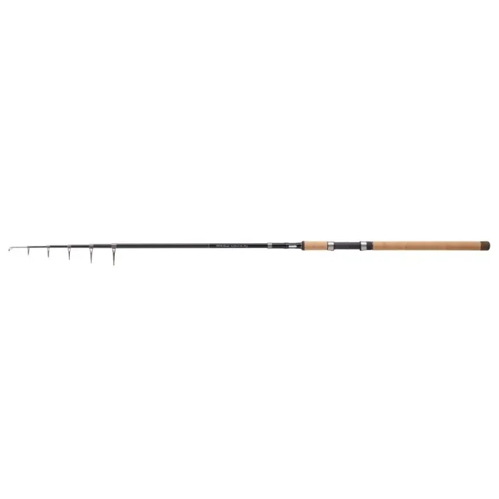 BALZER Edition IM-12 Tele Allround 70 2,7m 20-70g