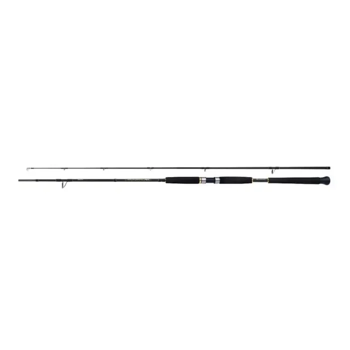 Beastmaster AX Pilk 2,40m 150-300g 2pc