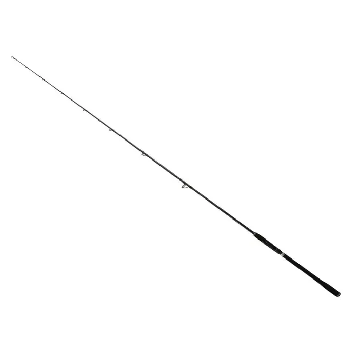 BULLSEYE Dentista Spin 2,55m 50-145g