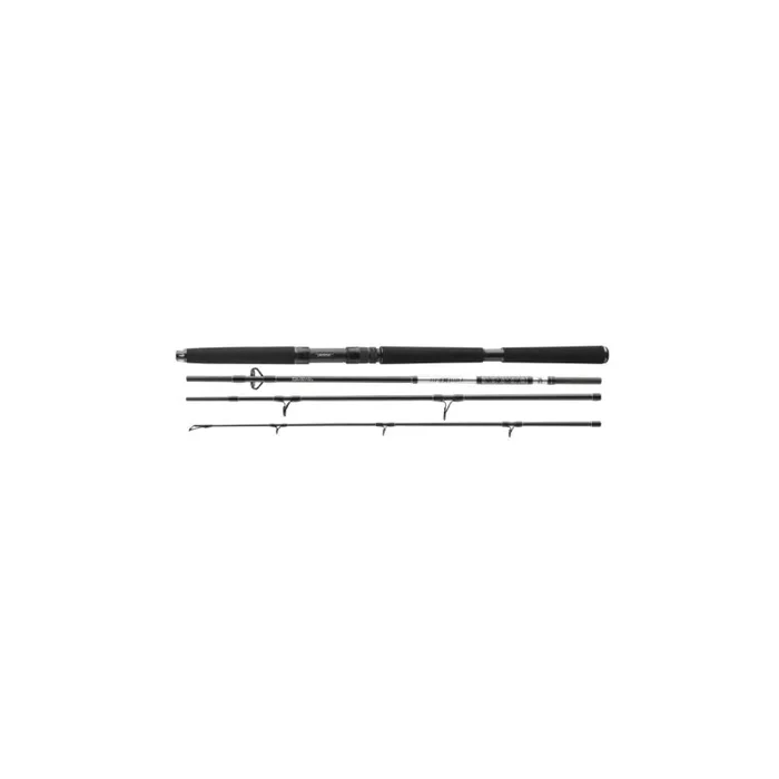 DAIWA BG Offshore Reispilk 2,4m 50-200g