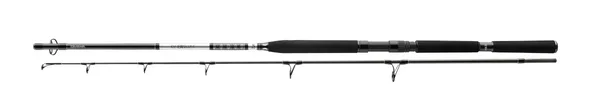 Daiwa BG Popper Meeresrute 2,30m (40-150g)