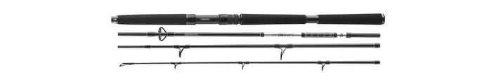 Daiwa BG Travel Pilk 2,40m 40-125g