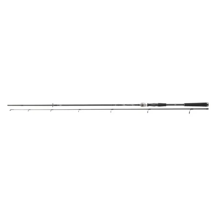 DAIWA Exceler Spin H 2,4m 40-80g