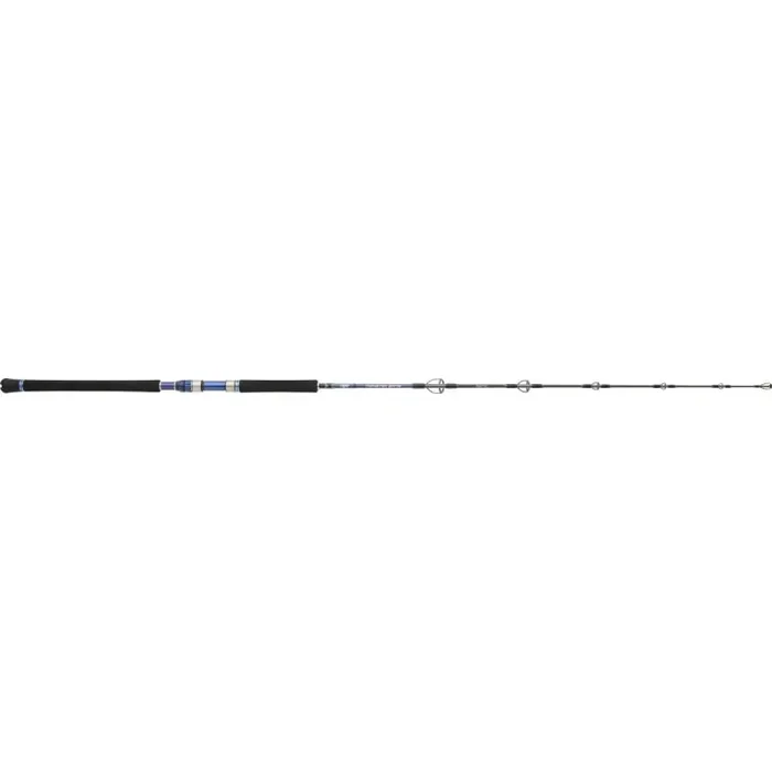 HEARTY RISE Monster Game Jigging 1,62m 100-300g