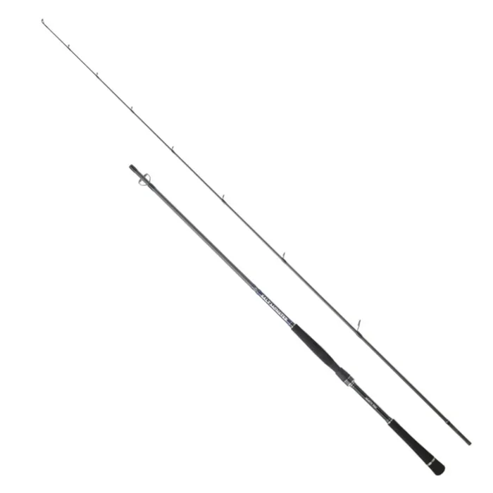 Hearty Rise Salt Monster SW Spin Vertic 2,20m 60g – Spinnrute