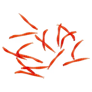 Kogha Softbait Künstliche Mückenlarven günstig kaufen | Askari Angelshop