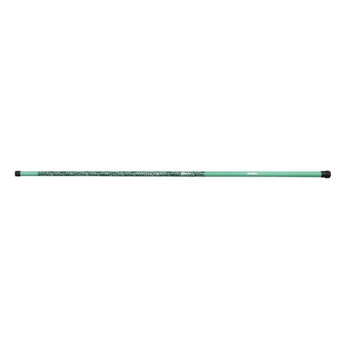 MITCHELL Catch Pro II Télépole T-300 3m