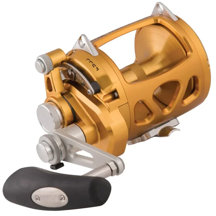 Penn International Gold 80VISW – Big Game Multirolle
