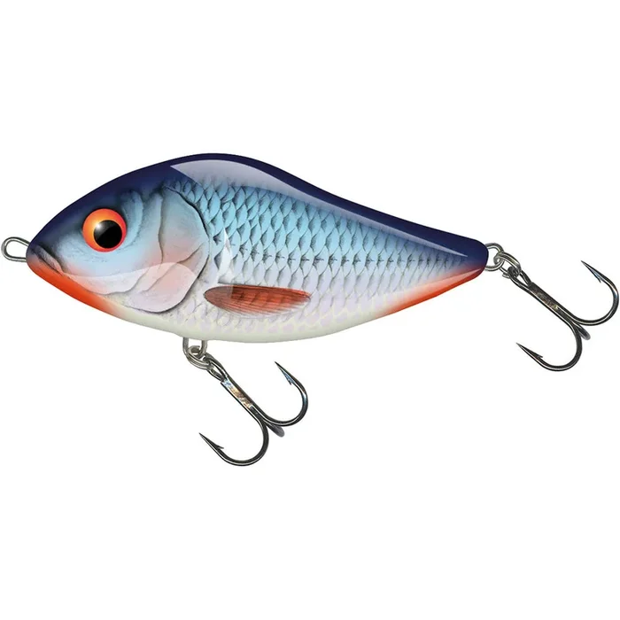 Salmo Slider 10 cm floating / sinking (Jerkbait) » HechtundBarsch.de