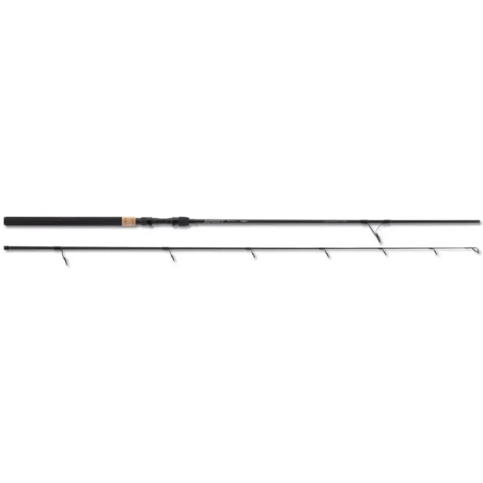 SÄNGER Spirit CSX Big Fish 2,4m 50-140g