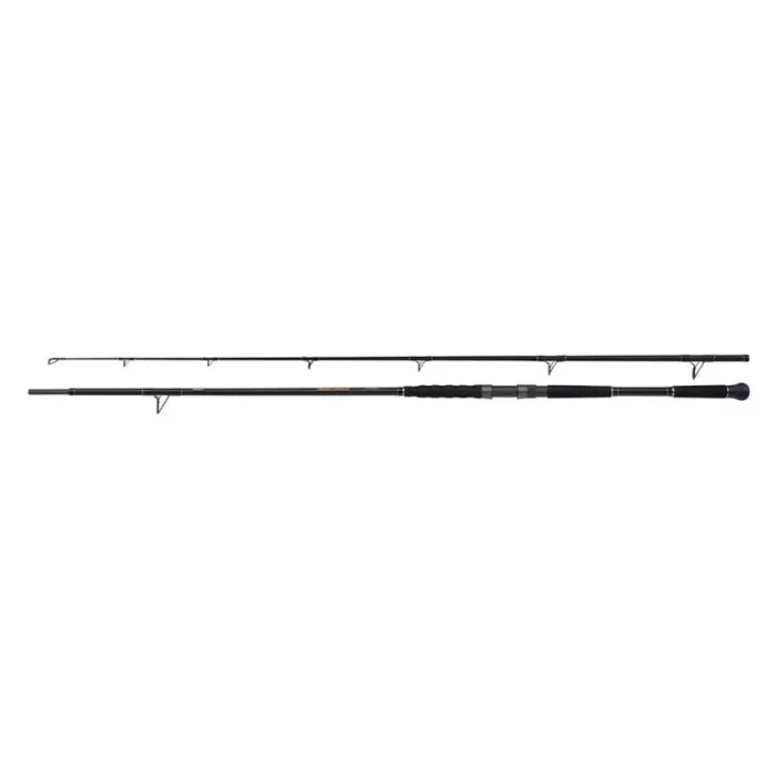 SHIMANO Beastmaster AX Catfish Lure Spin 2.7m to 200g