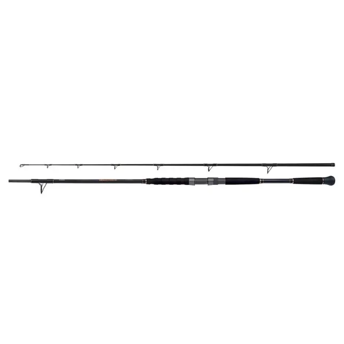 SHIMANO Beastmaster AX Meerval Kunstaas Spin 2,2m tot 120g