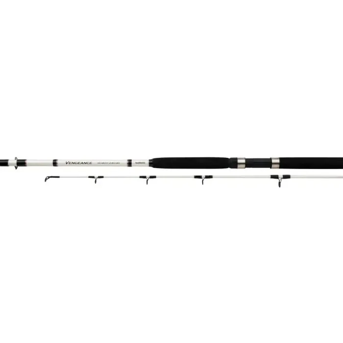 SHIMANO Vengeance AX Boat H 2,4m jusqu‘à 300 lb