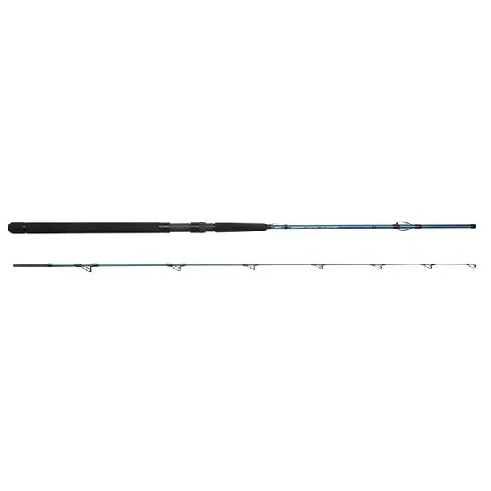 SPRO Salty Beast Solidz 1,9m to 250g